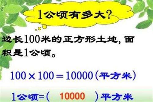 10000公顷有多大