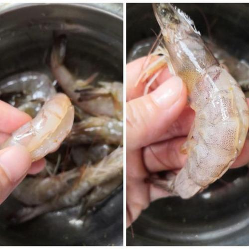 虾怎样去虾线