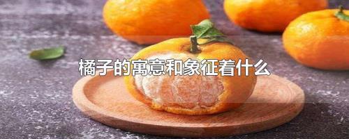 买橘子有什么特殊含义
