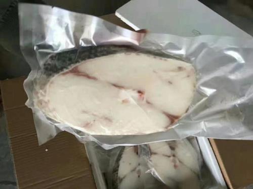 龙雪鱼哪里卖