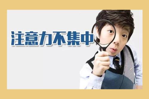 注力的意思