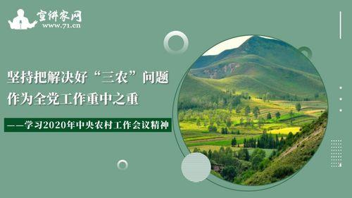 新三农问题