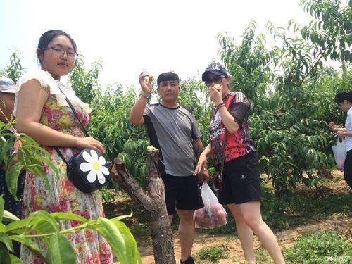 收获颇多是什么意思
