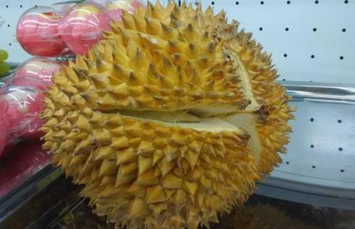 榴莲什么季节有