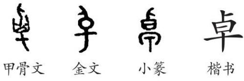一个木一个卓念什么字