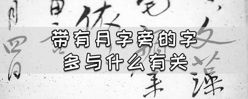 月字旁的字有哪些字