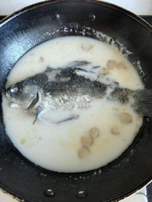鱼汤最正宗的做法