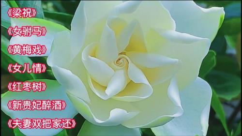 最爱与情把家还什么意思