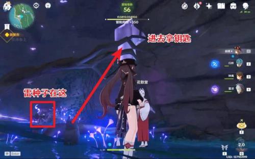 原神中神鹰大把的任务怎么接