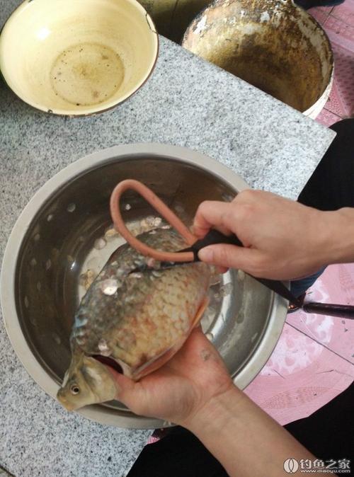 带鱼鳞怎么处理干净