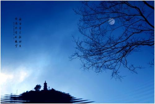 爽籁发而清风生是什么意思