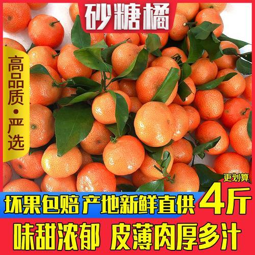 江西和广西哪个砂糖橘是正宗的