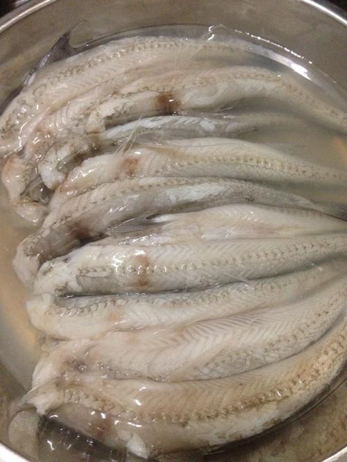 豆腐鱼是什么