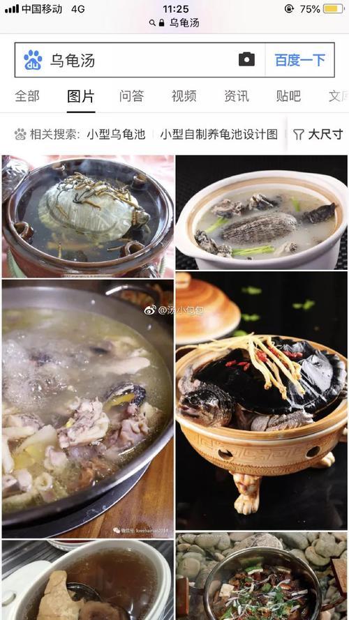 用乌龟怎样煲汤