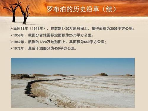 恢复罗布泊生态的措施