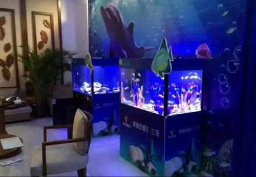 关于海洋展的主题