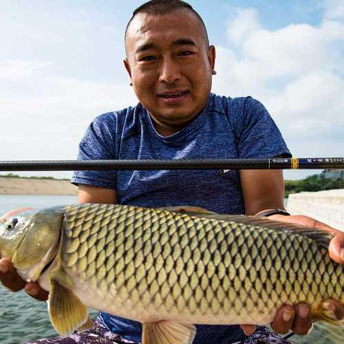 谷麦竿溜鱼为什么不把竿立起来