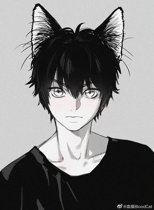 血猫介绍