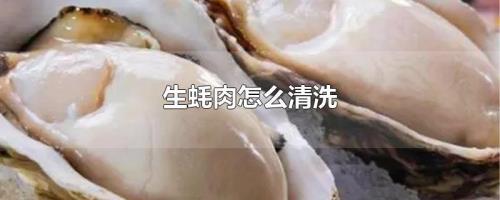 如何清洗海蛎子肉