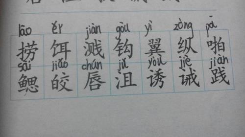 践组词有哪些呢