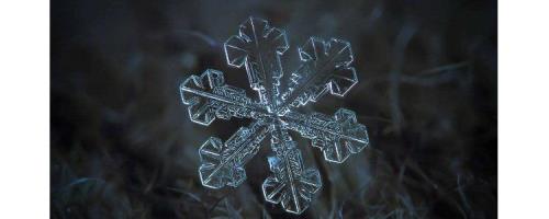 冬天的雪花像什么造句