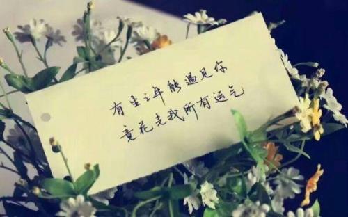 曰久生情.多久能生情