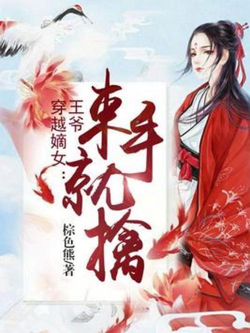 找一部穿越回北洋的小说