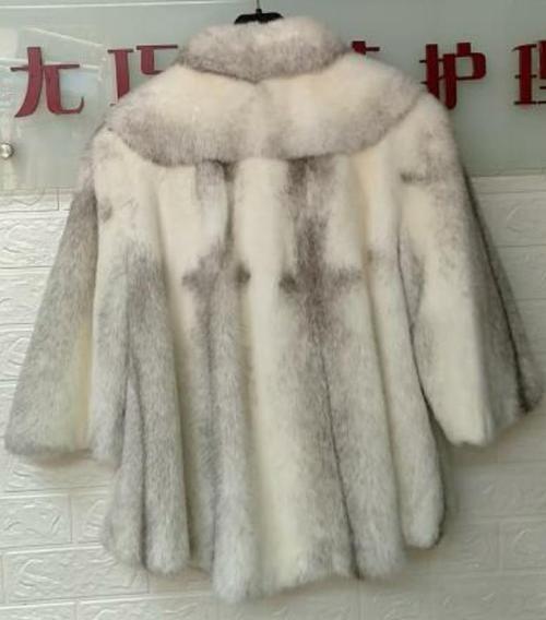 貂皮怎么可以变大