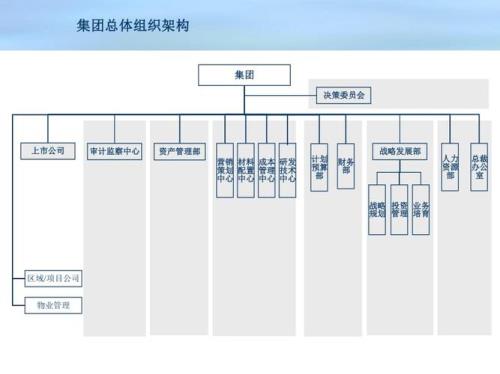 什么是区域集团组织