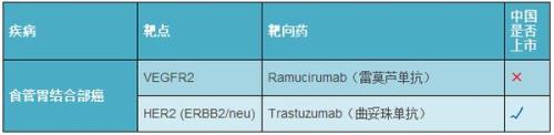 心理靶点是什么
