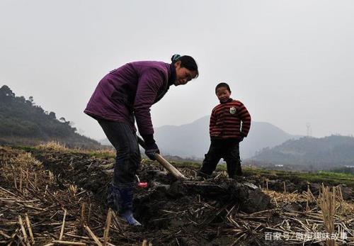 母子农村医保怎么办