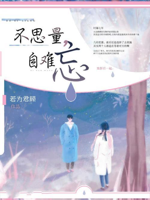 不思量自难忘全诗和解释