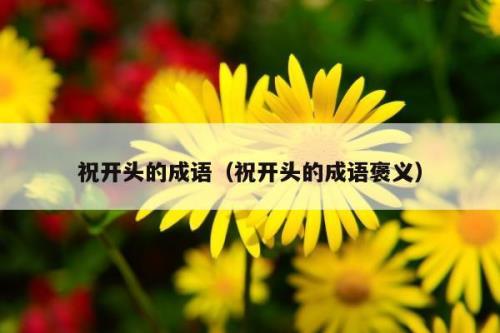 次开头的成语