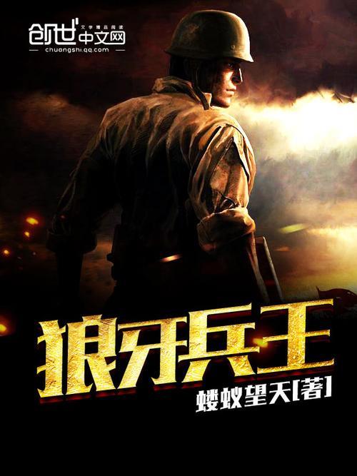 兵王回村致富的小说