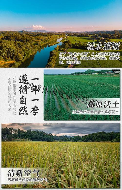 高原大米的特点