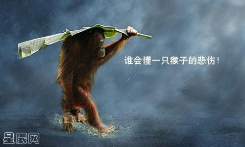 以万物为刍狗是什么意