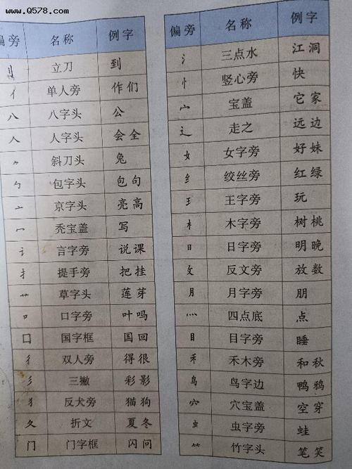 存的部首