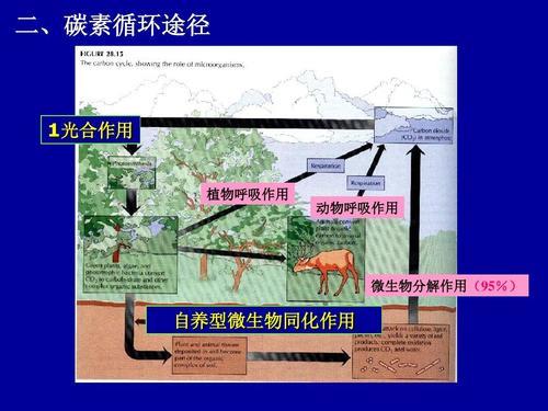 生态学5个基本原理的之间的联系