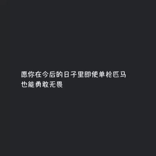 单枪匹马的意思解释