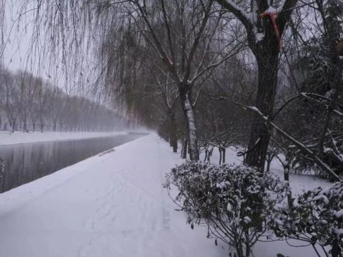 河南年前会下雪吗