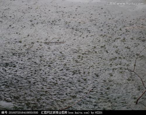 下雨的雨是什么结构
