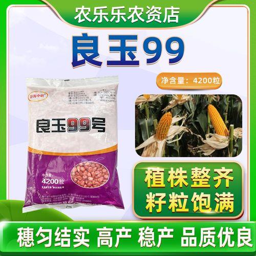 良玉369玉米审定公告