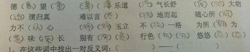 高的反义词是