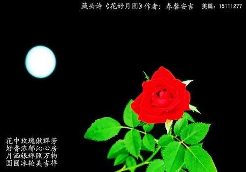 藏头诗，愿君安好