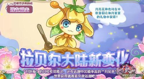 月桂精灵一到七月主要内容