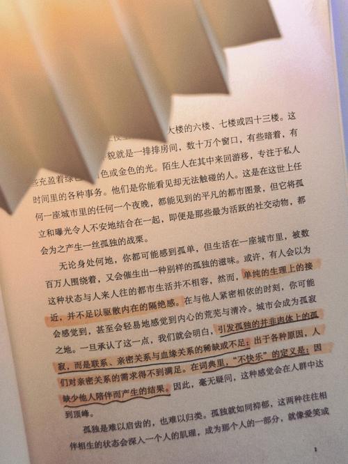 孑然一身是什么意思