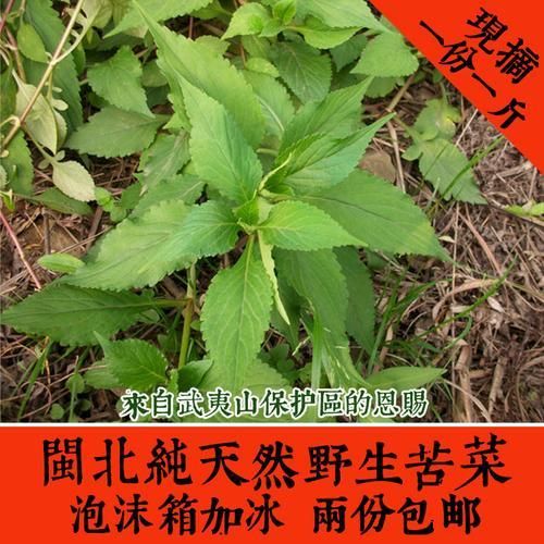 苦斋婆煲汤最佳搭配