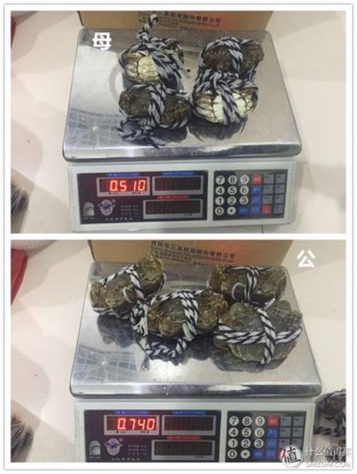 一斤多重，有什么参照