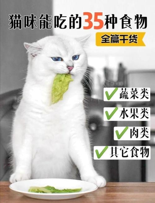 猫咪能吃牛肉吗