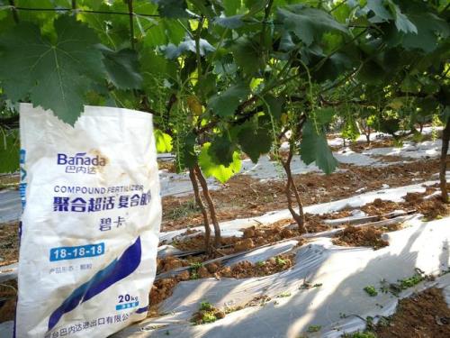 水溶网多大合适